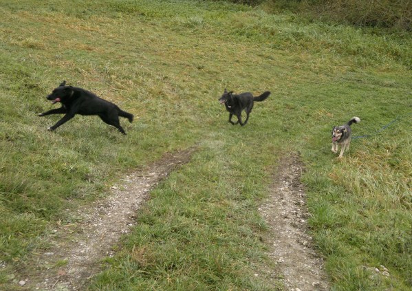 med_Gaudi an der Vils.jpg (599 x 423)